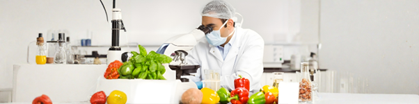 Dietary Pattern Evaluation in Nutrition Research
