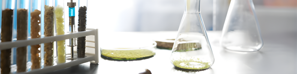 Functional Ingredient Integration