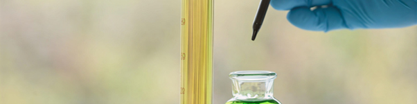 Improving Bioavailability in Ayurvedic Food Products