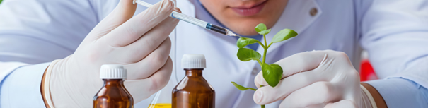 Bioactive Profiling in Indonesia